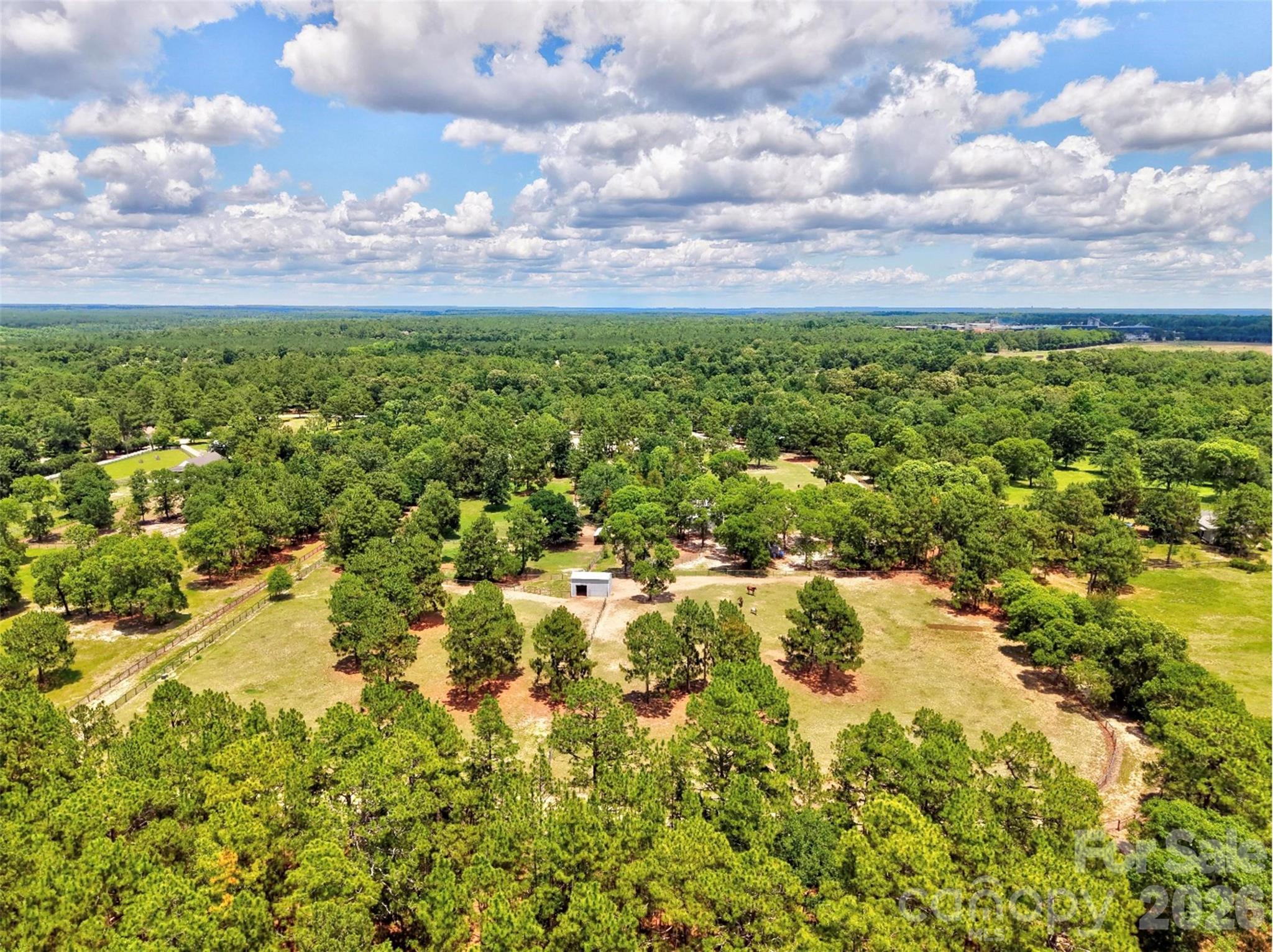 1377 Pine Road Property Photo 22