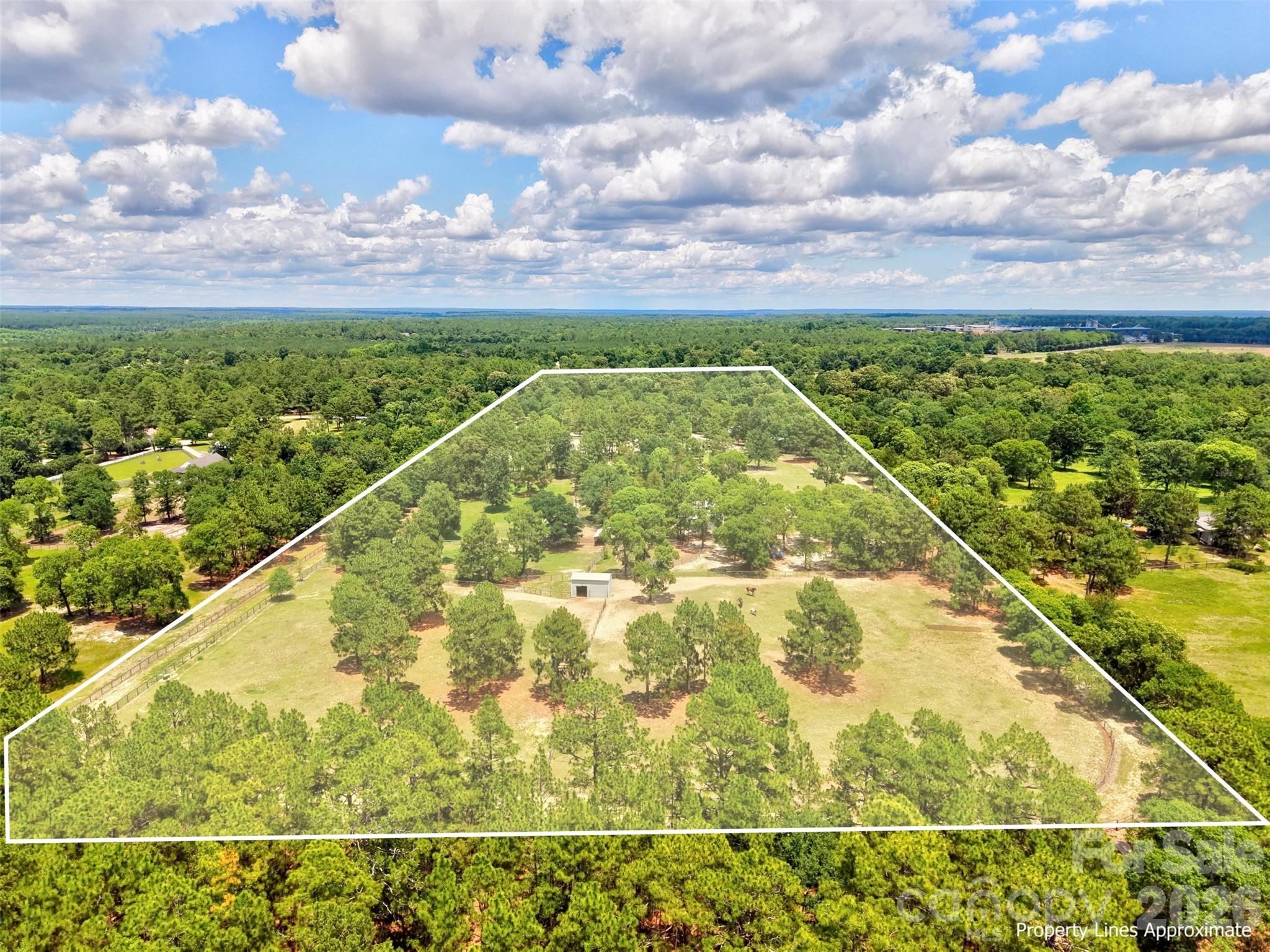 1377 Pine Road Property Photo 23