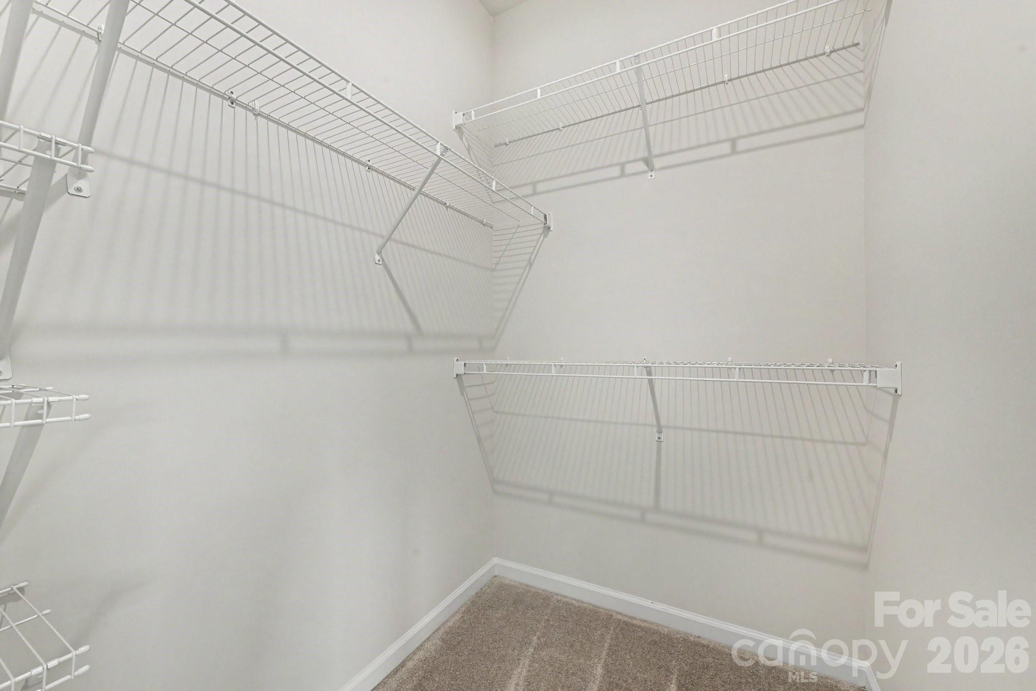 2405 Autumn Olive Lane Property Photo 31
