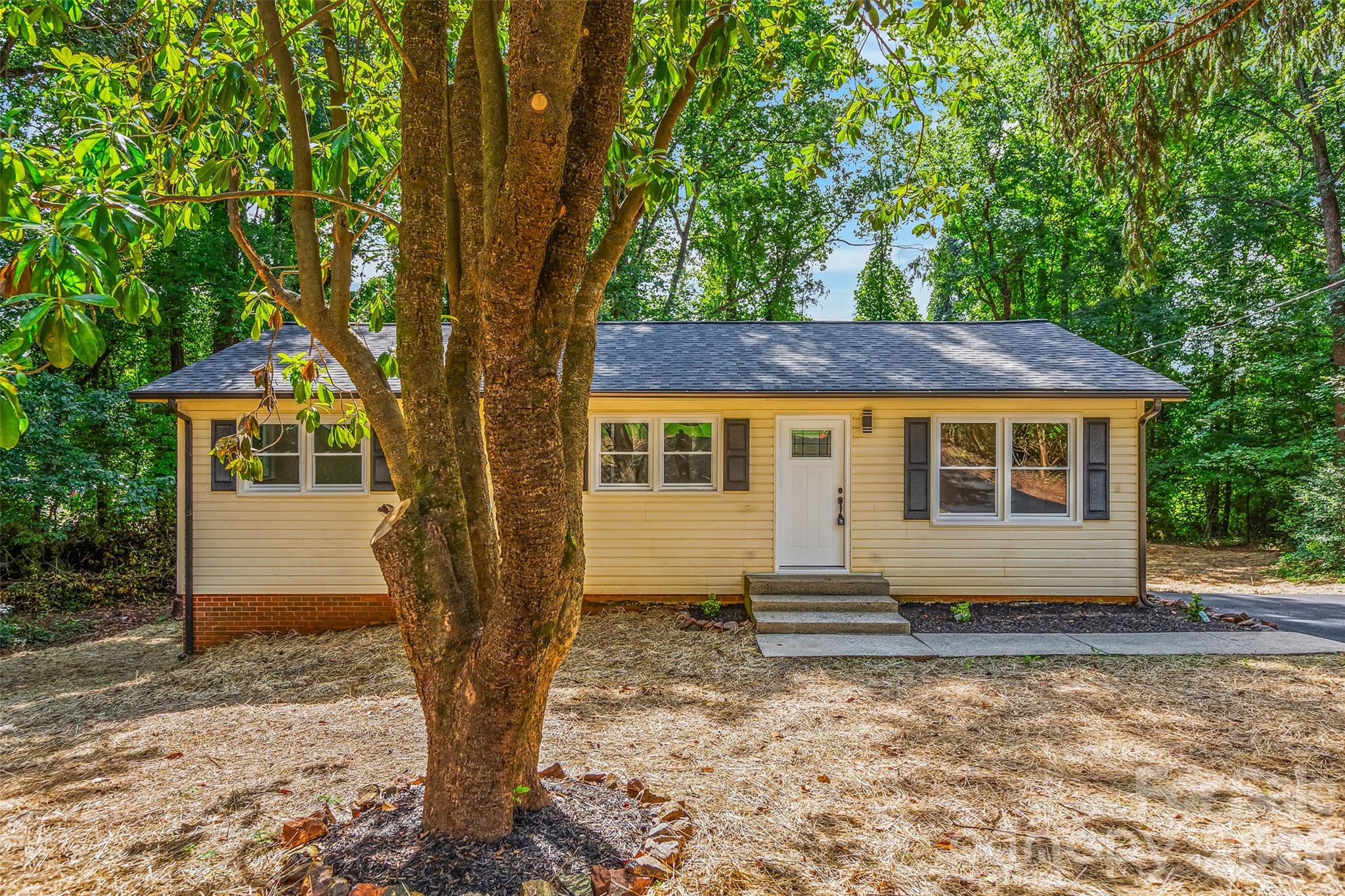 248 Harriet Lane Property Photo 2