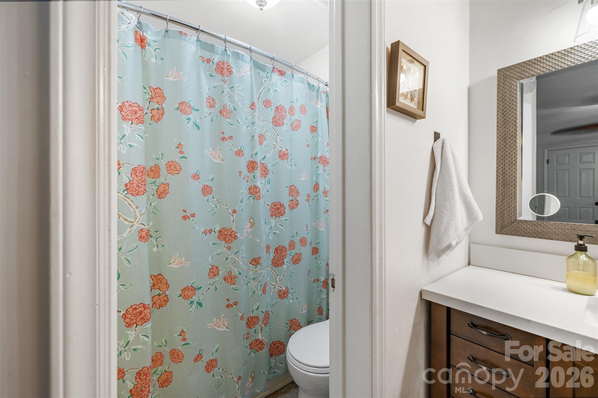 3520 Colony Crossing Drive Property Photo 14