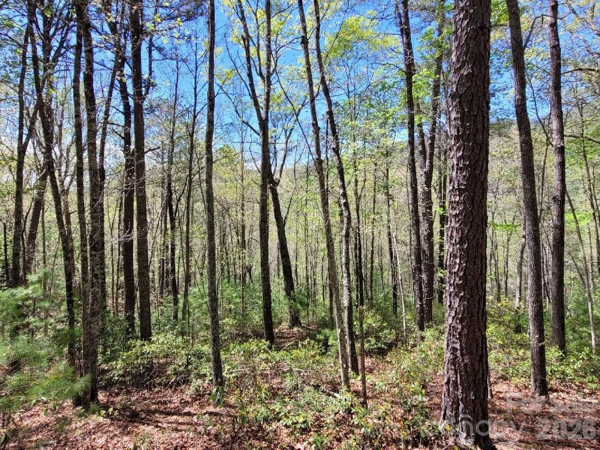 Lot 21 Little Fox Run Property Photo 1