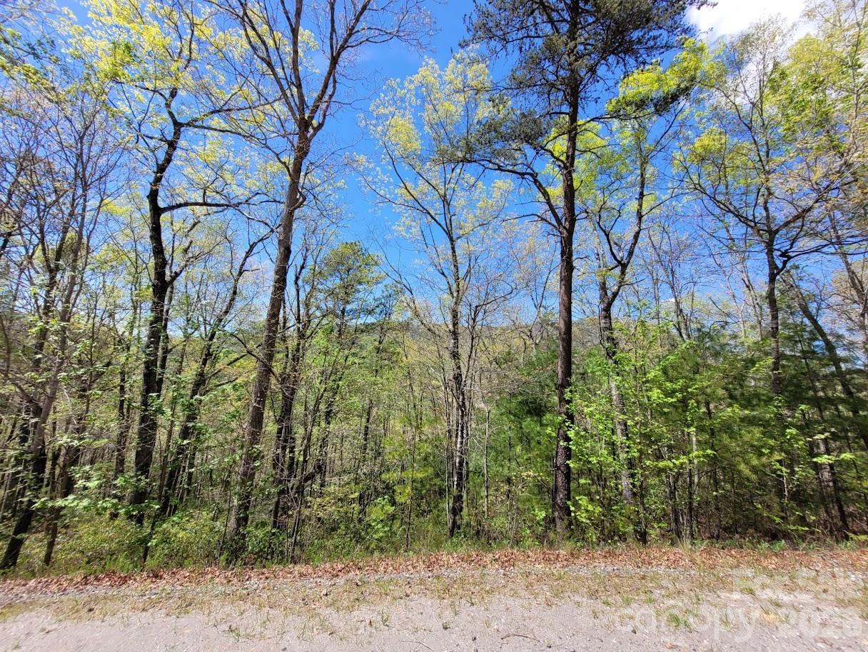 Lot 21 Little Fox Run Property Photo 2