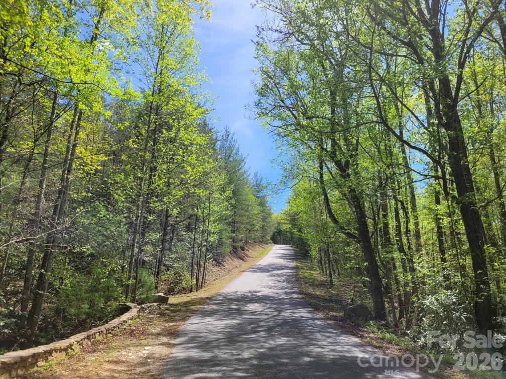 Lot 21 Little Fox Run Property Photo 5