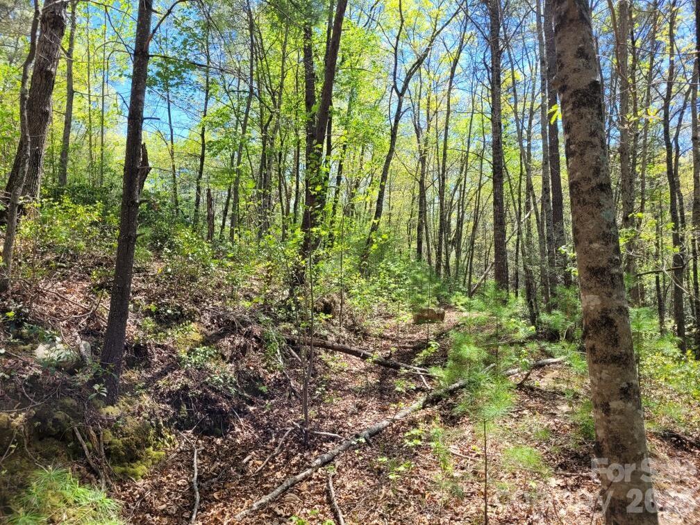 Lot 21 Little Fox Run Property Photo 6