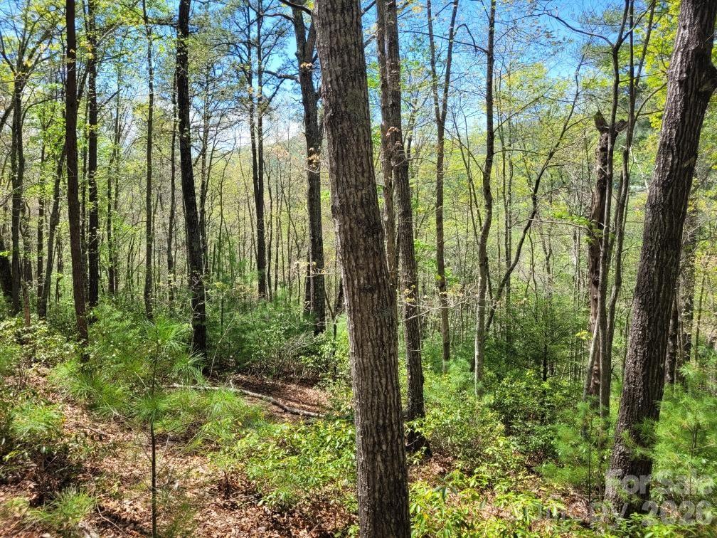 Lot 21 Little Fox Run Property Photo 7