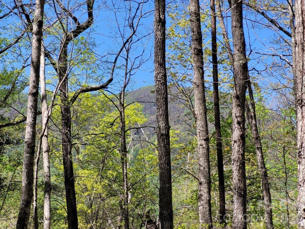 Lot 21 Little Fox Run Property Photo 8