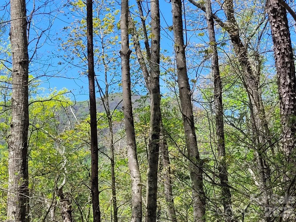 Lot 21 Little Fox Run Property Photo 9