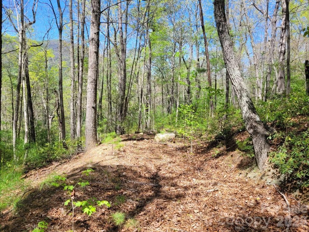Lot 21 Little Fox Run Property Photo 10