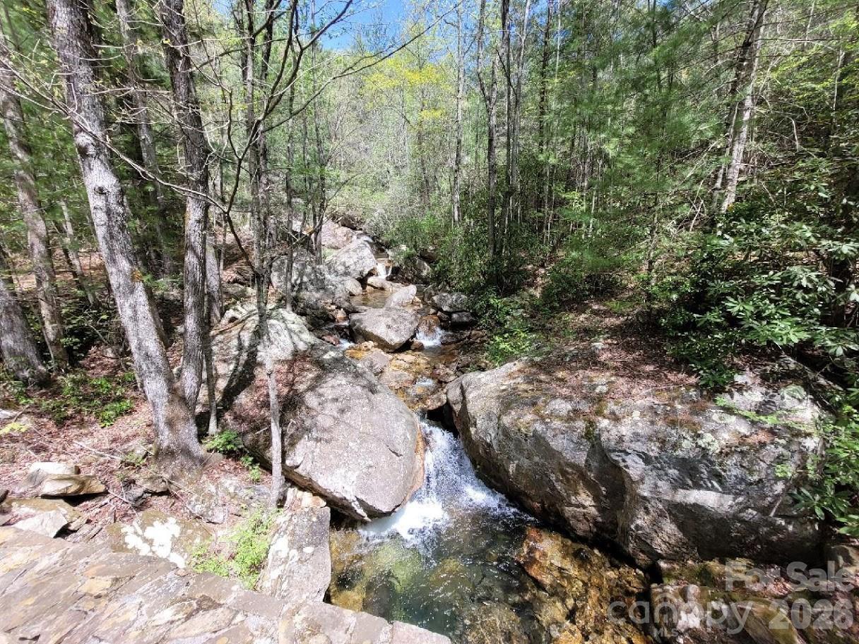 Lot 21 Little Fox Run Property Photo 14