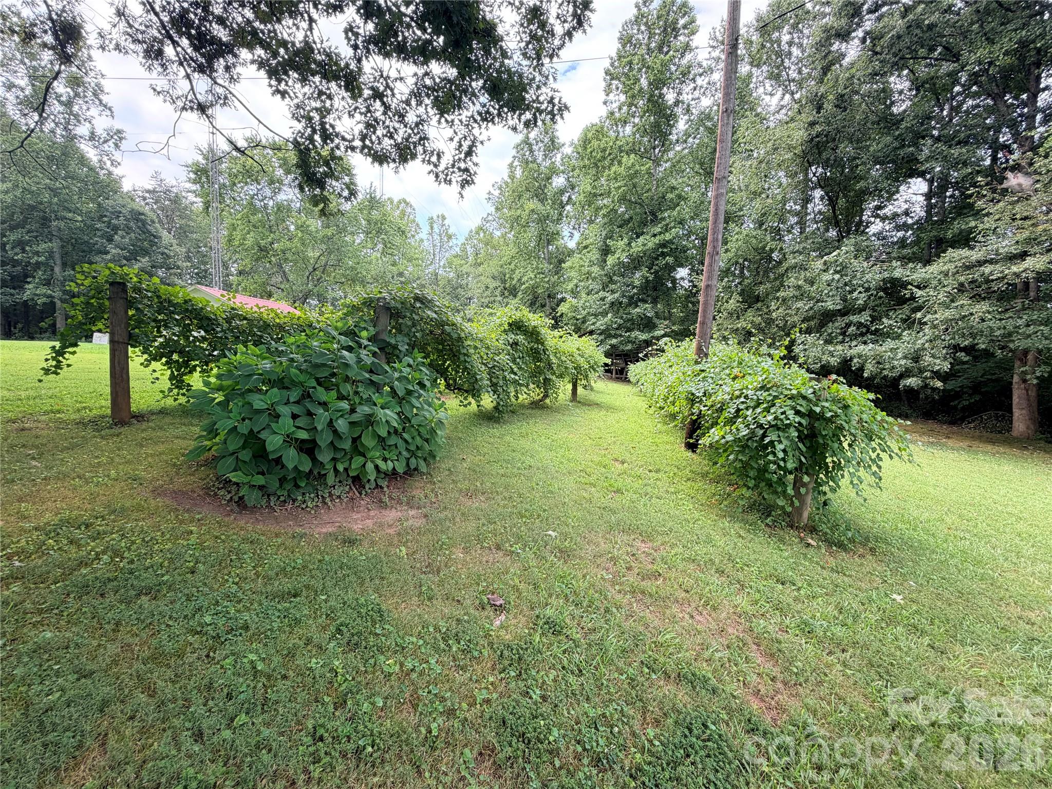 00 Delview Road Property Photo 4