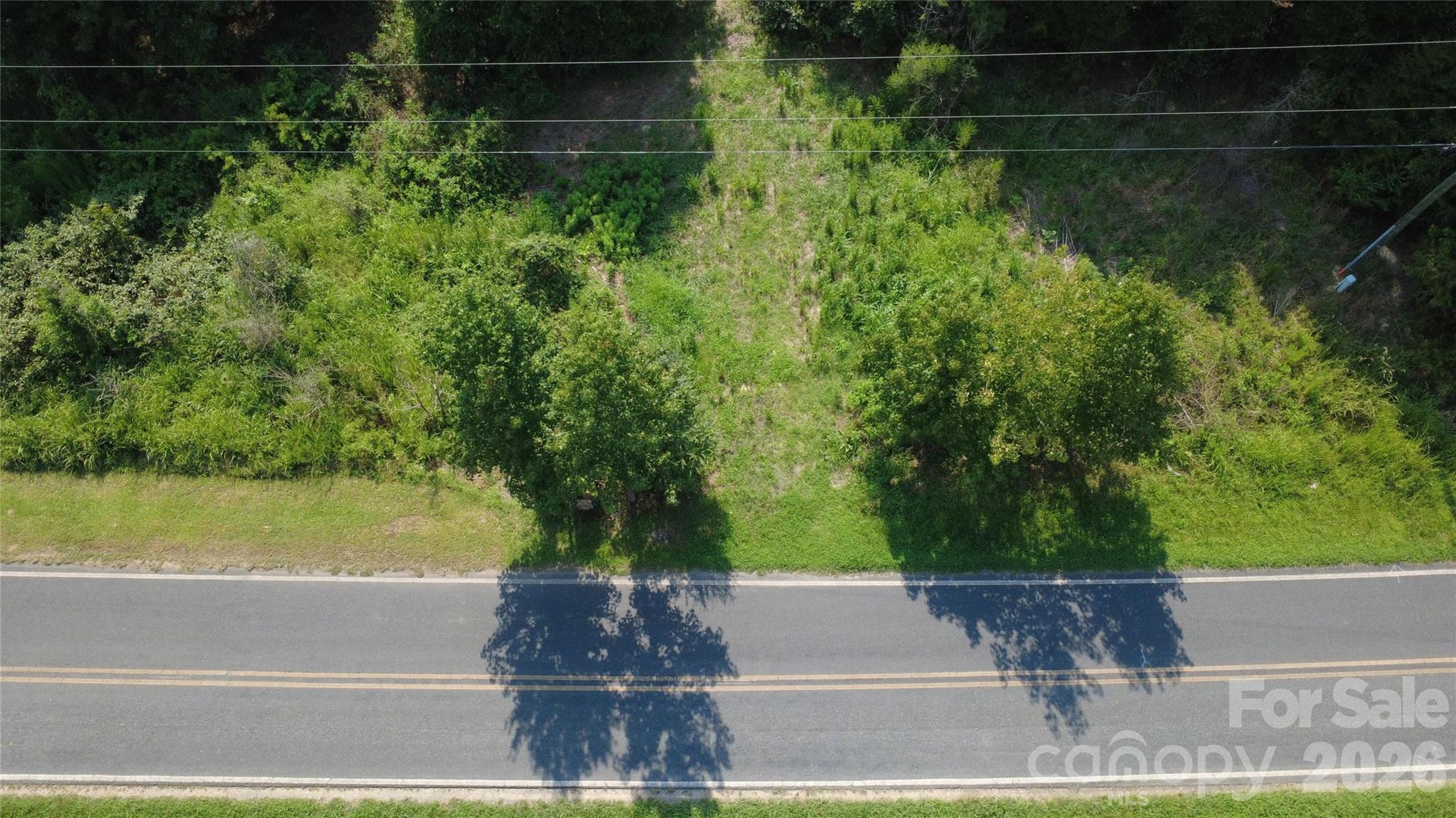 3601 Lanesboro Road Property Photo 3