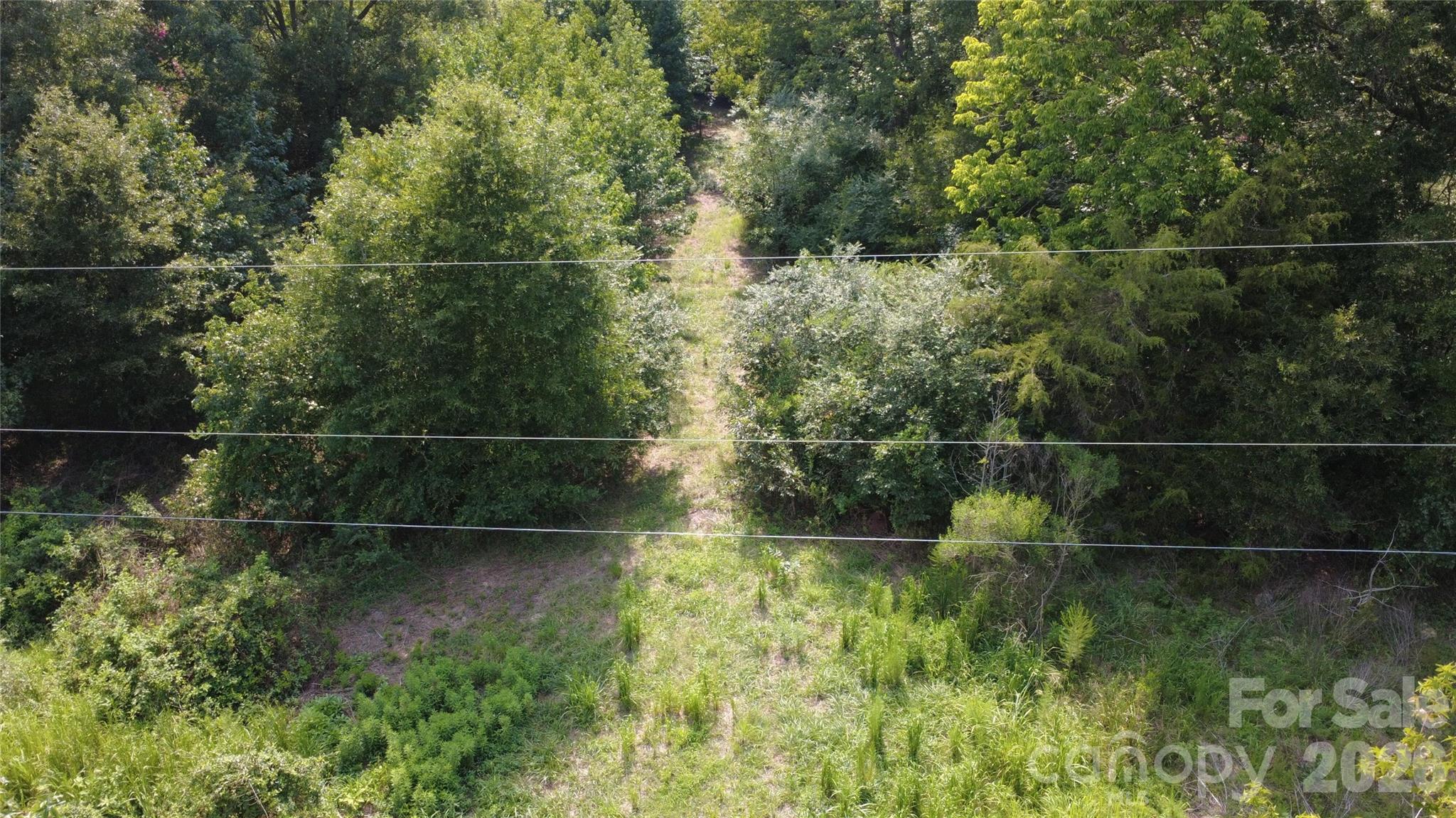3601 Lanesboro Road Property Photo 4
