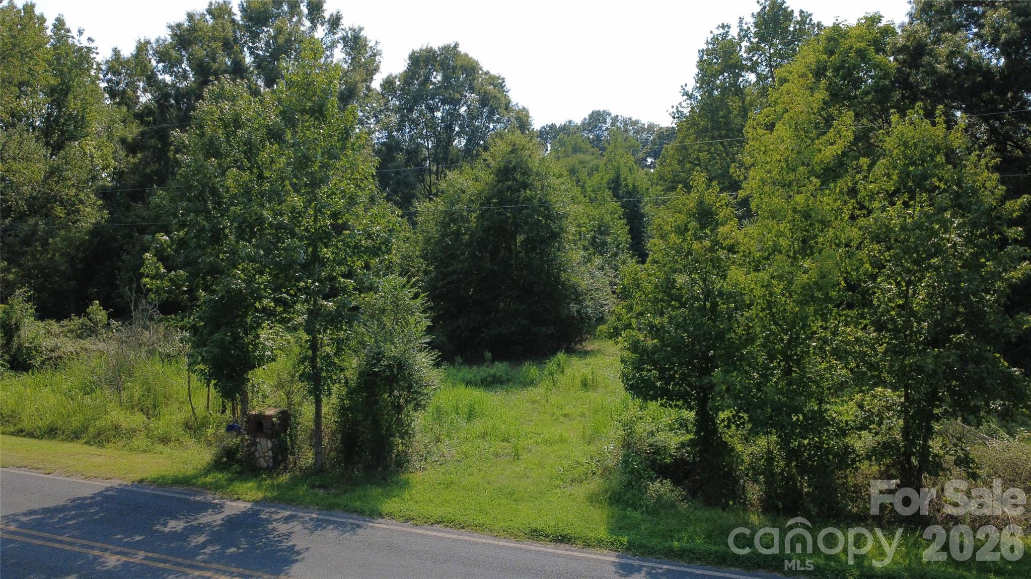 3601 Lanesboro Road Property Photo 5