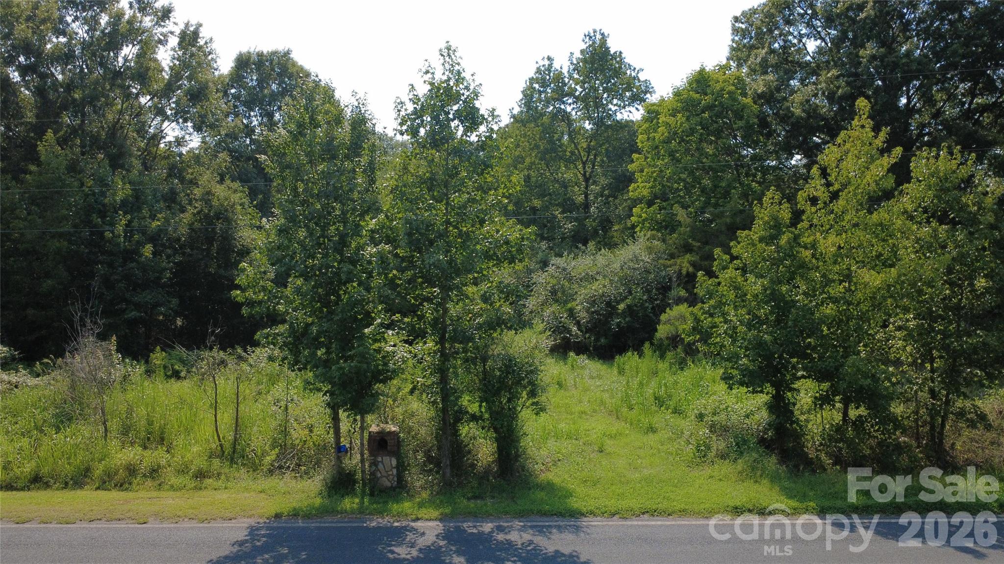 3601 Lanesboro Road Property Photo 6