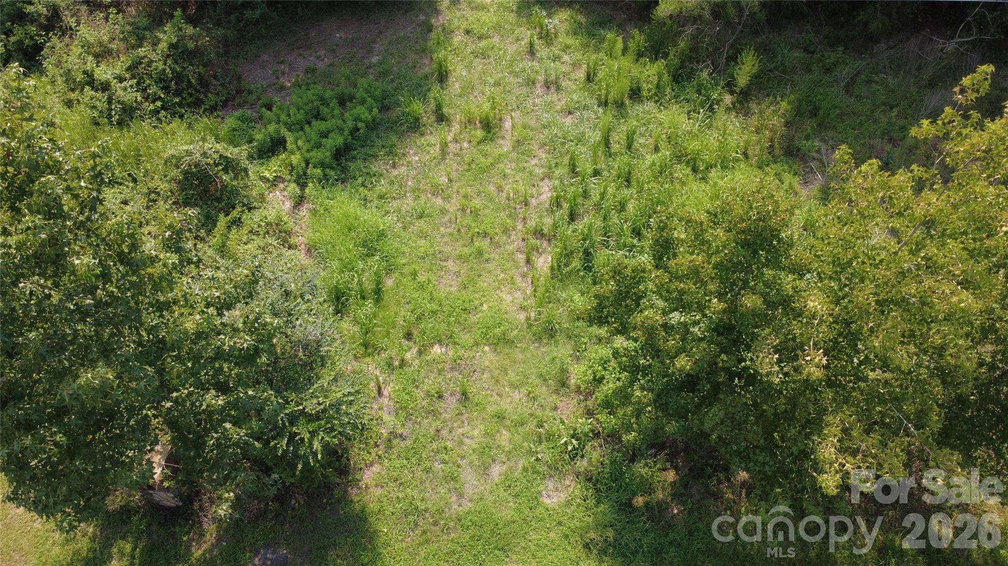 3601 Lanesboro Road Property Photo 7