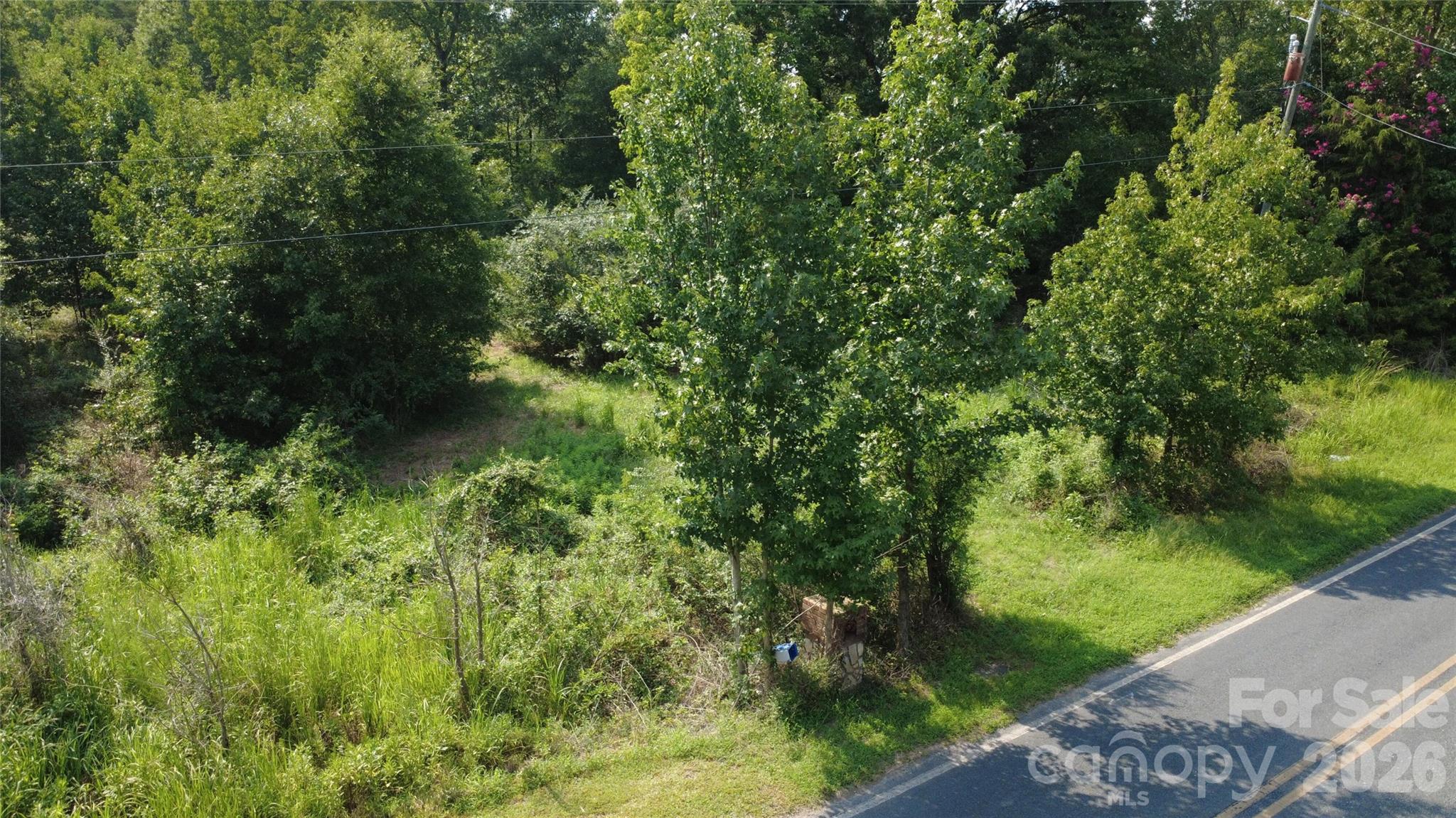 3601 Lanesboro Road Property Photo 8