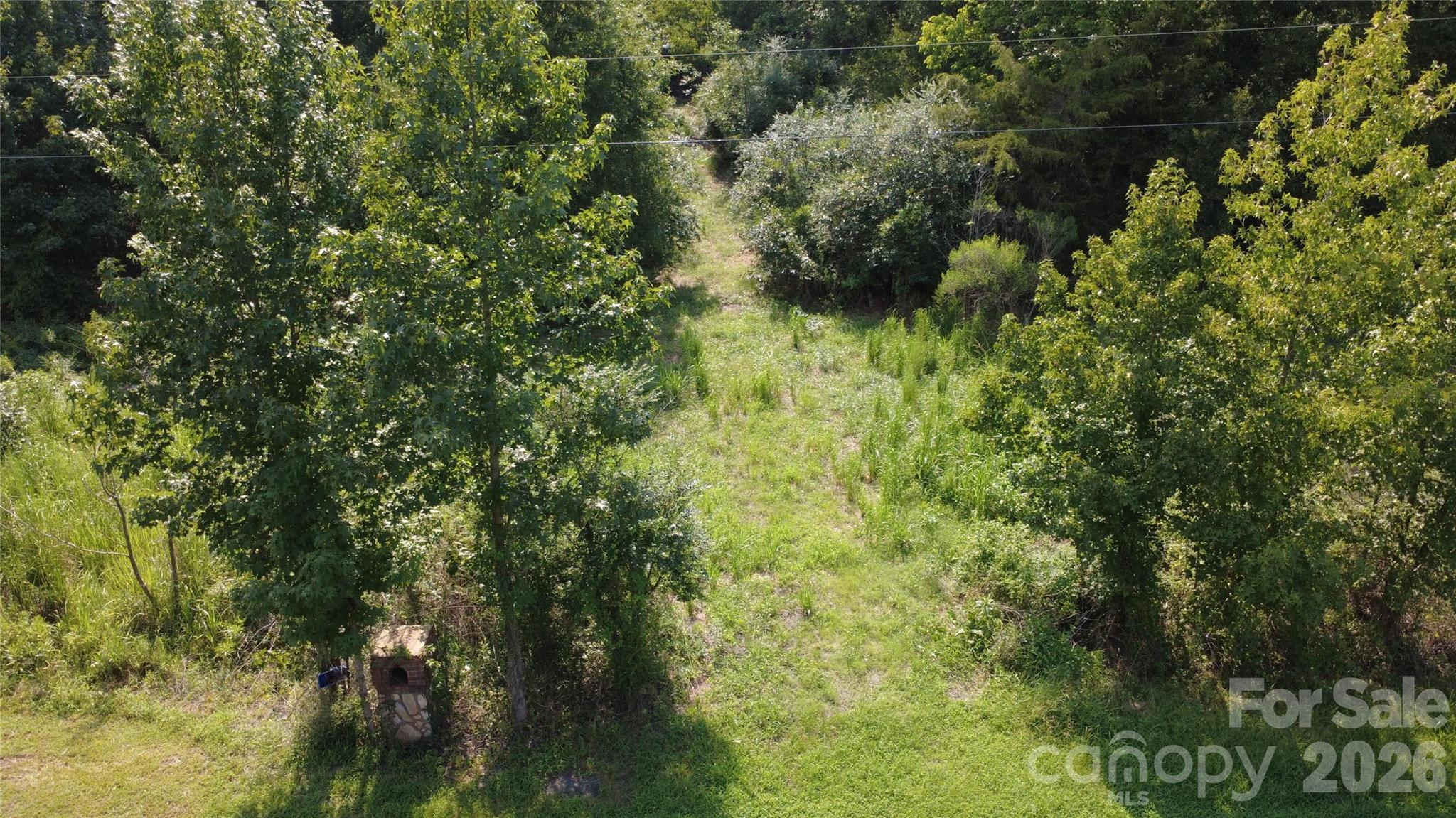 3601 Lanesboro Road Property Photo 10