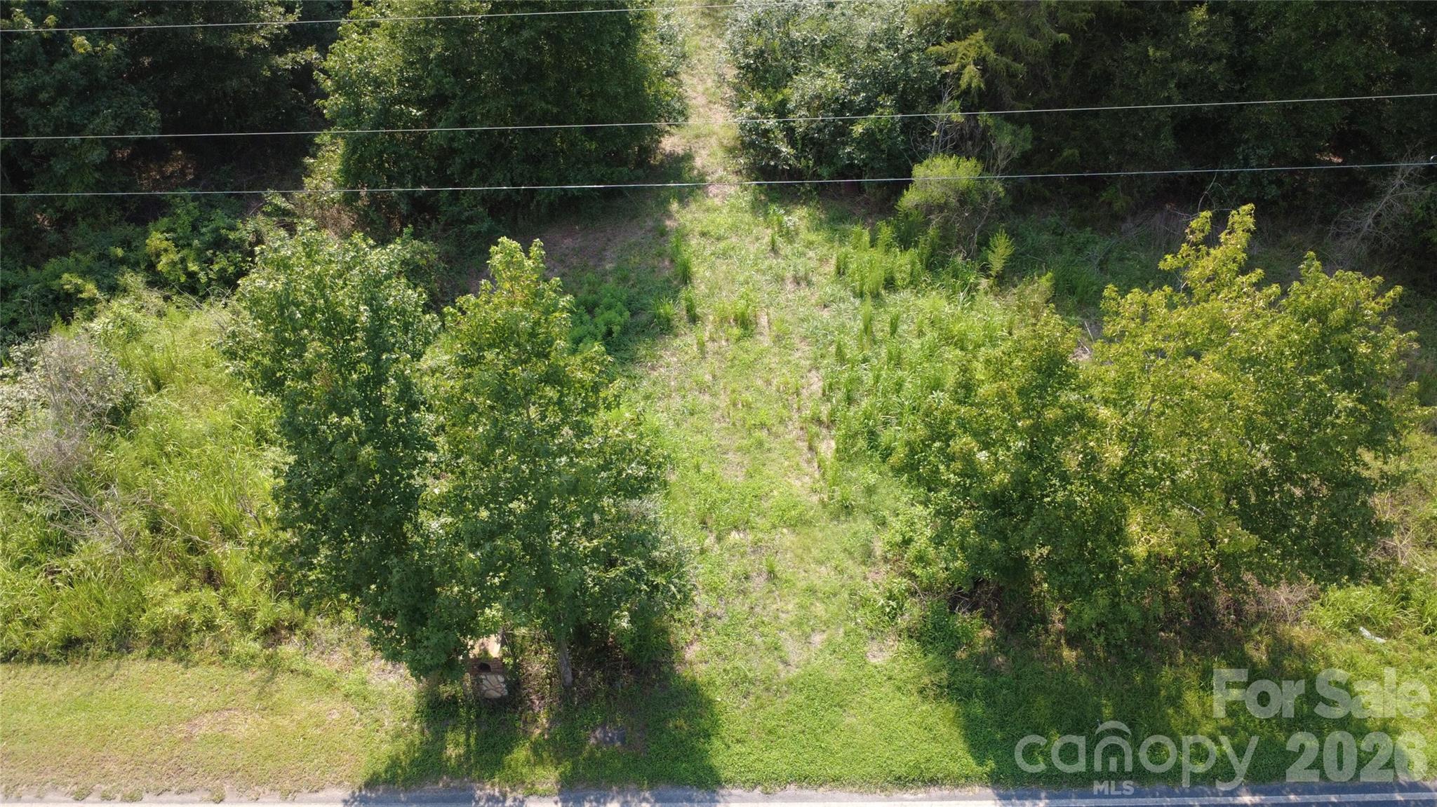 3601 Lanesboro Road Property Photo 11