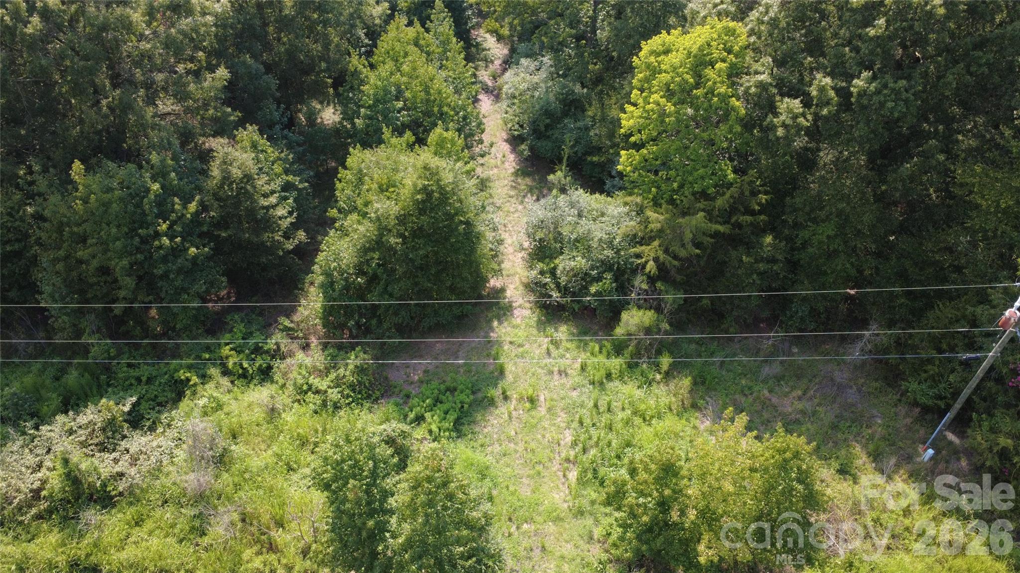 3601 Lanesboro Road Property Photo 12