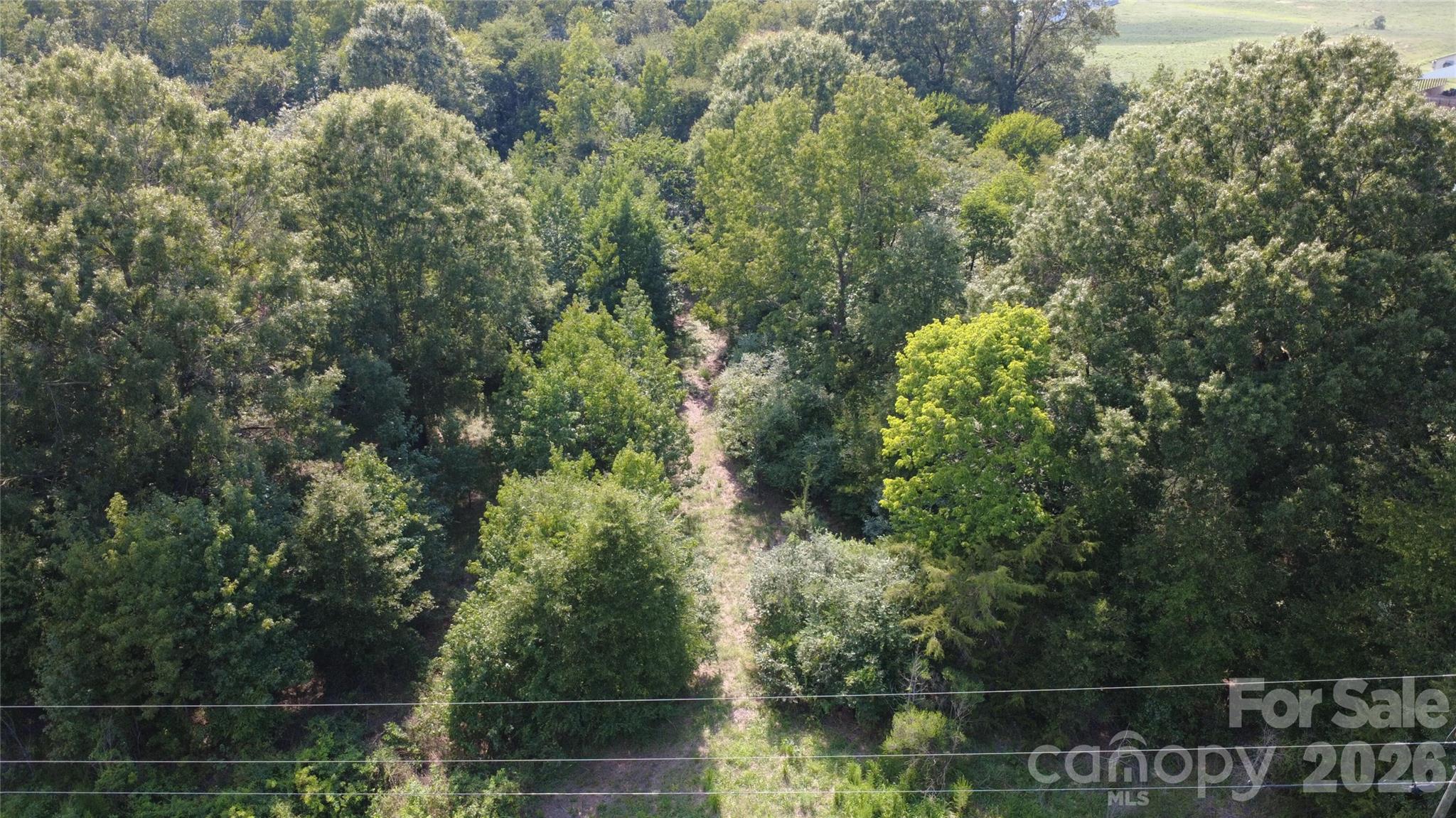3601 Lanesboro Road Property Photo 13