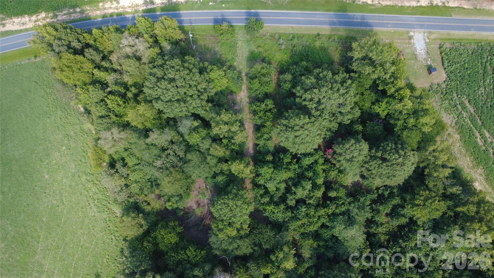 3601 Lanesboro Road Property Photo 15