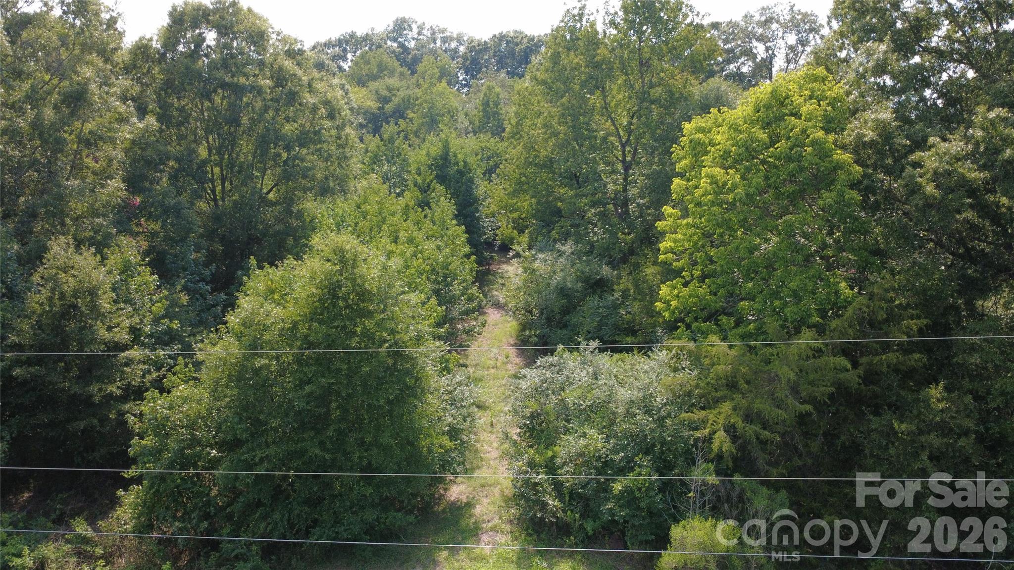 3601 Lanesboro Road Property Photo 16