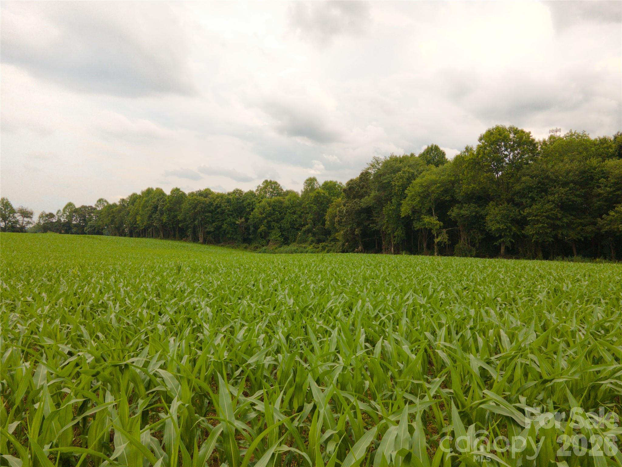 11ac W Memorial Highway Property Photo 19