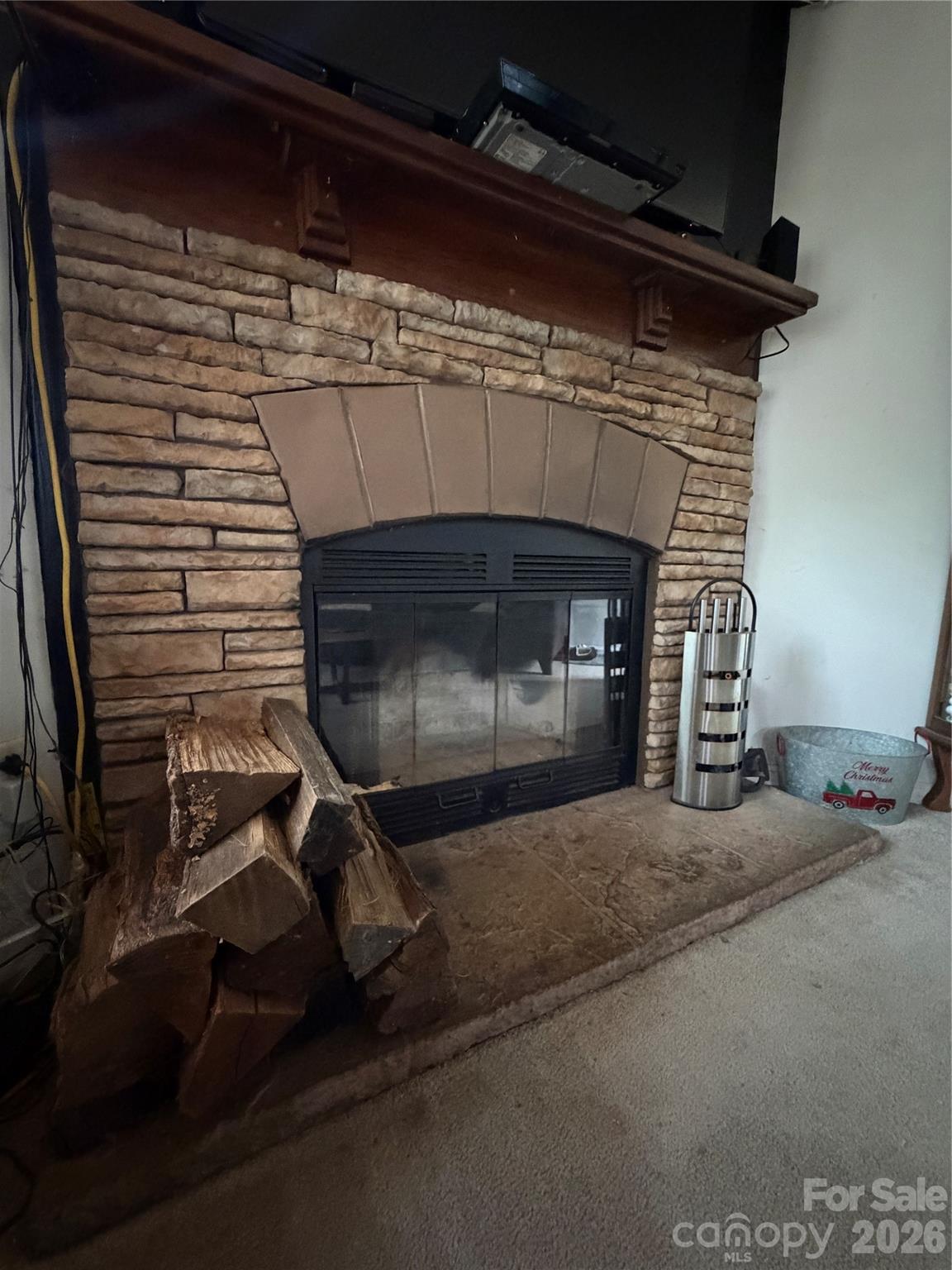 263 Coyote Pass Lane Property Photo 15