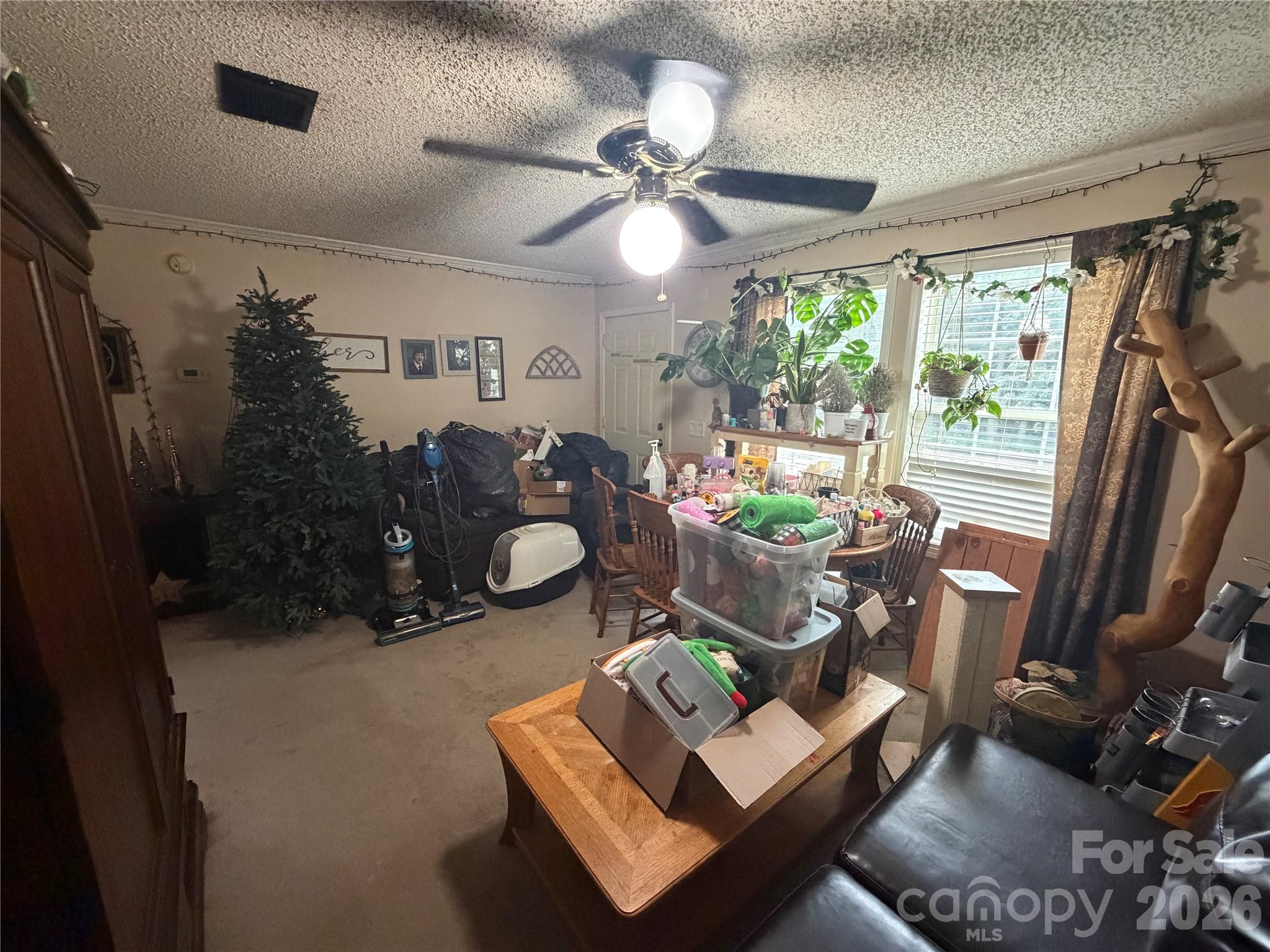 263 Coyote Pass Lane Property Photo 17
