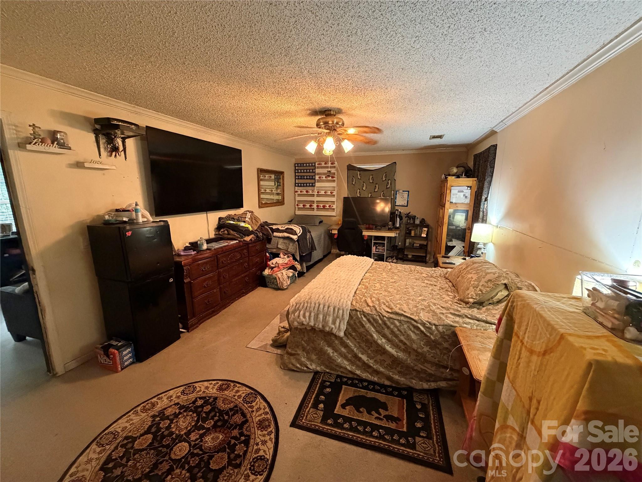 263 Coyote Pass Lane Property Photo 26