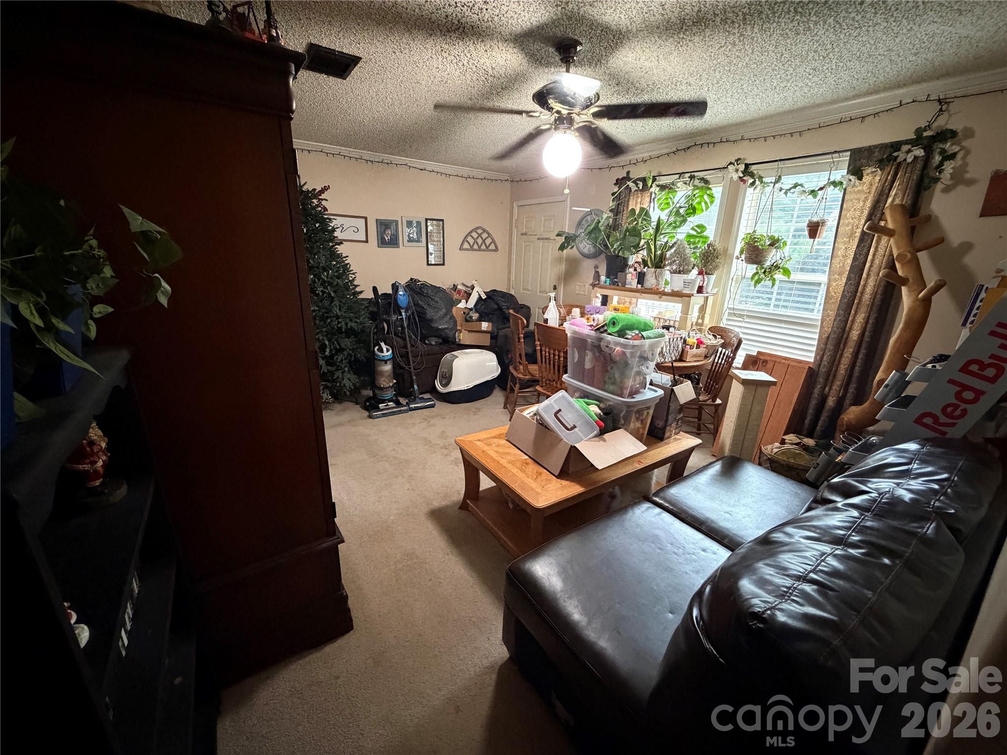 263 Coyote Pass Lane Property Photo 28