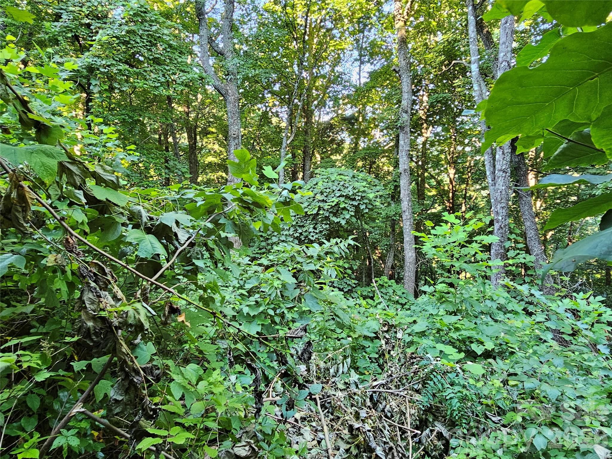 109 Big Ridge Road 109 Property Photo 5