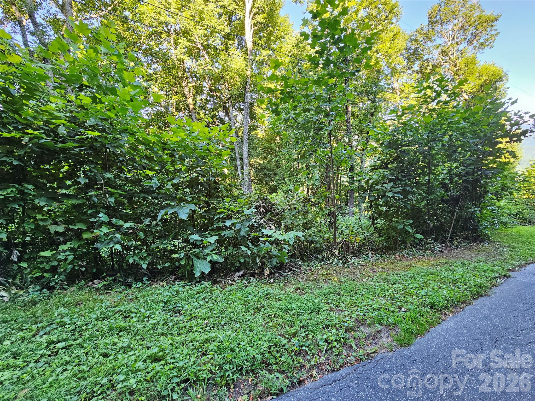 109 Big Ridge Road 109 Property Photo 15