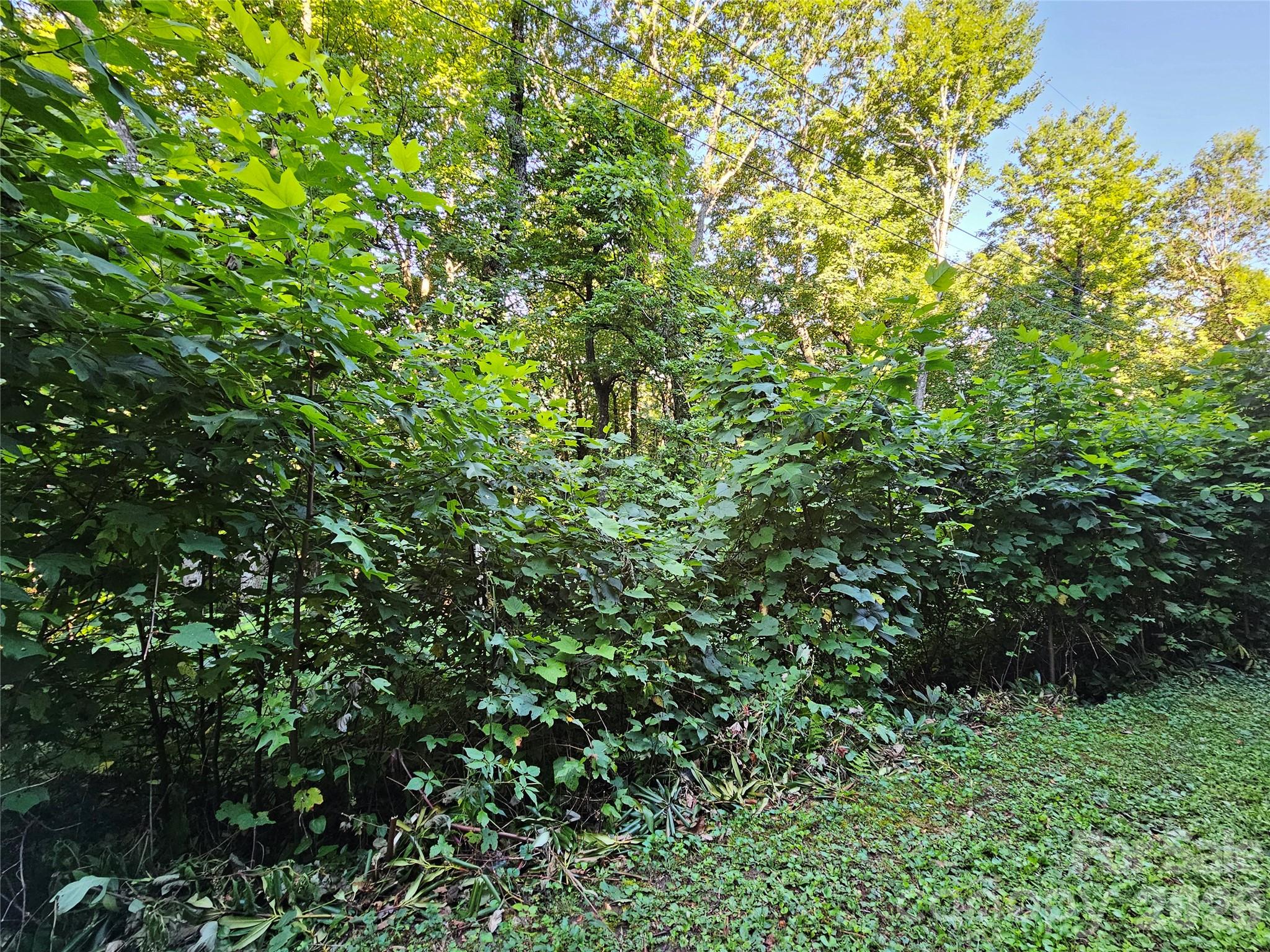 109 Big Ridge Road 109 Property Photo 16