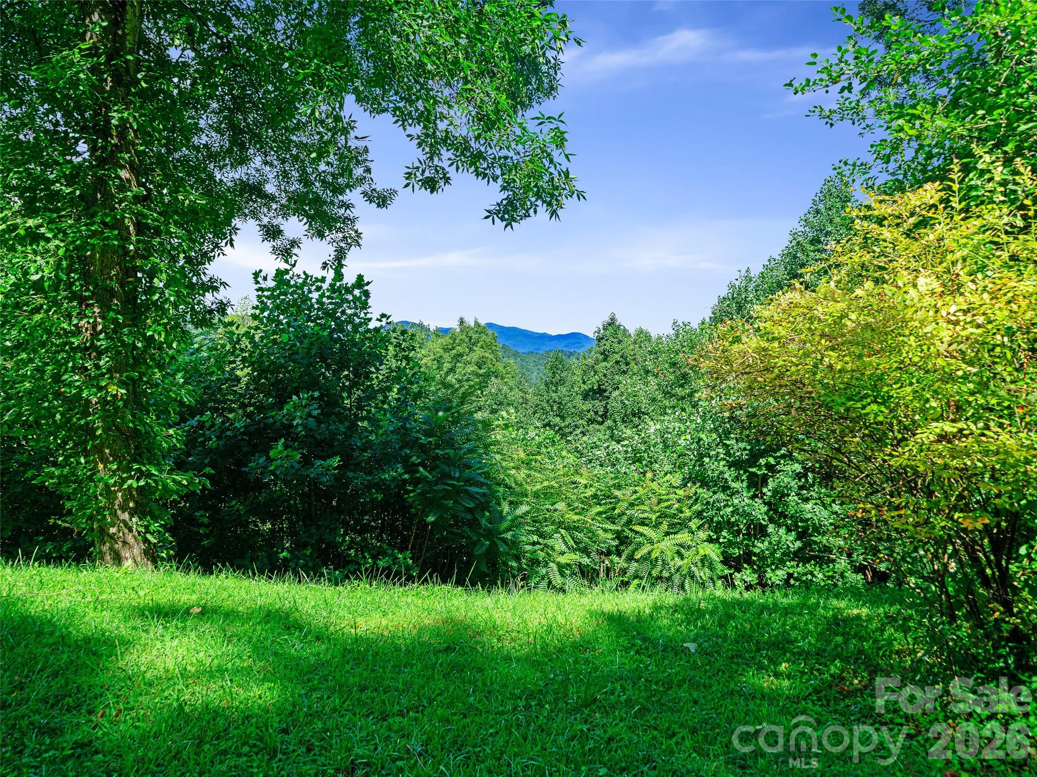 185 Blue Bird Lane Property Photo 31