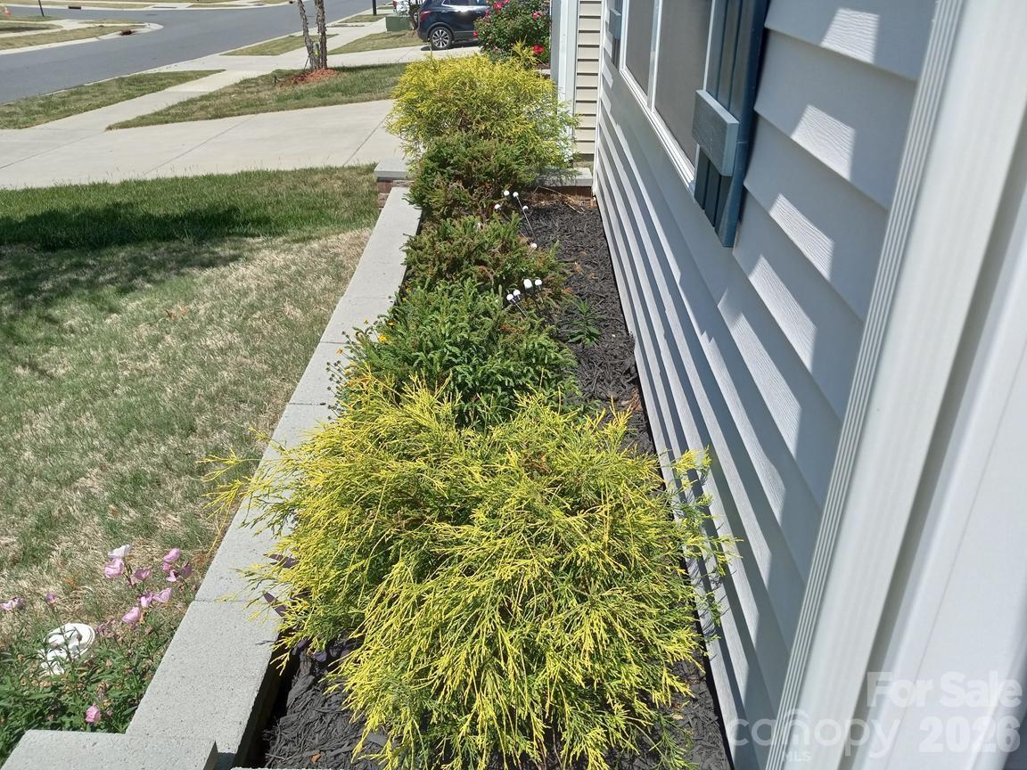 5108 Briscoe Drive Property Photo 3