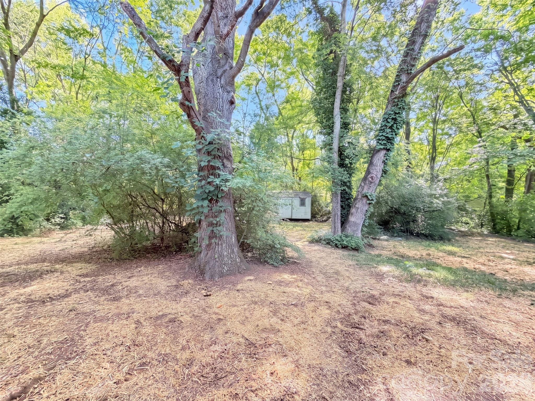 2717 O Hara Drive Property Photo 17