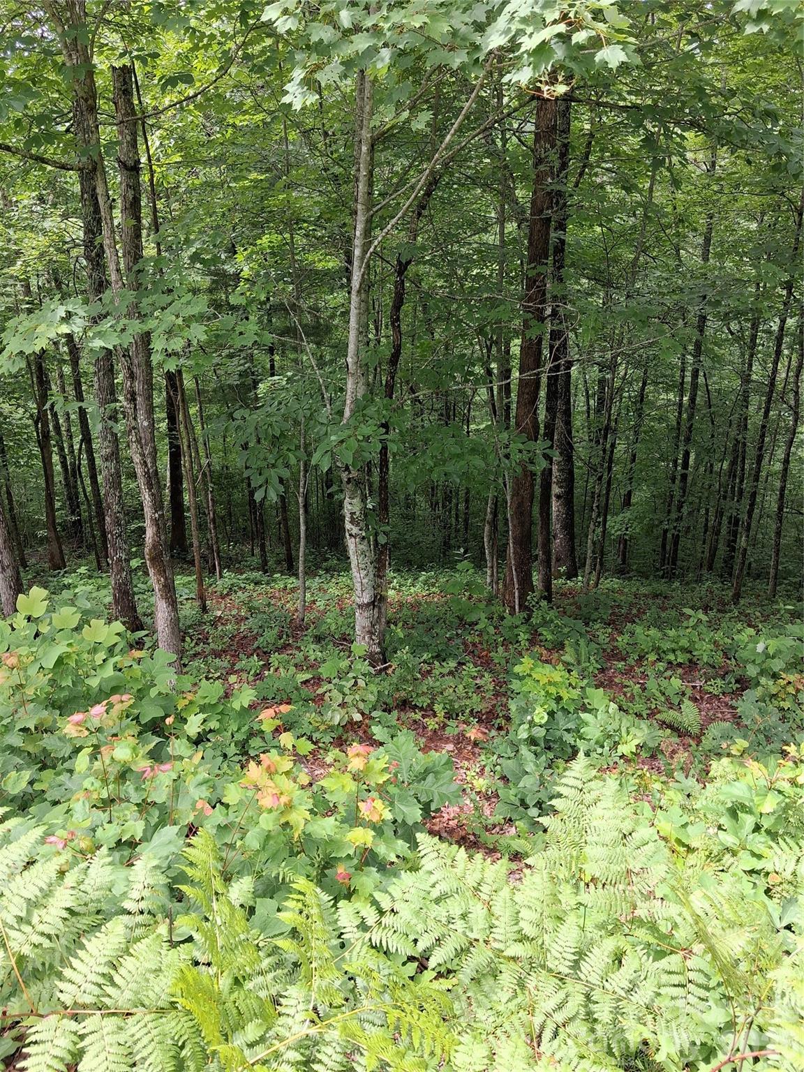 Tbd Preservation Trail 47 Property Photo 1