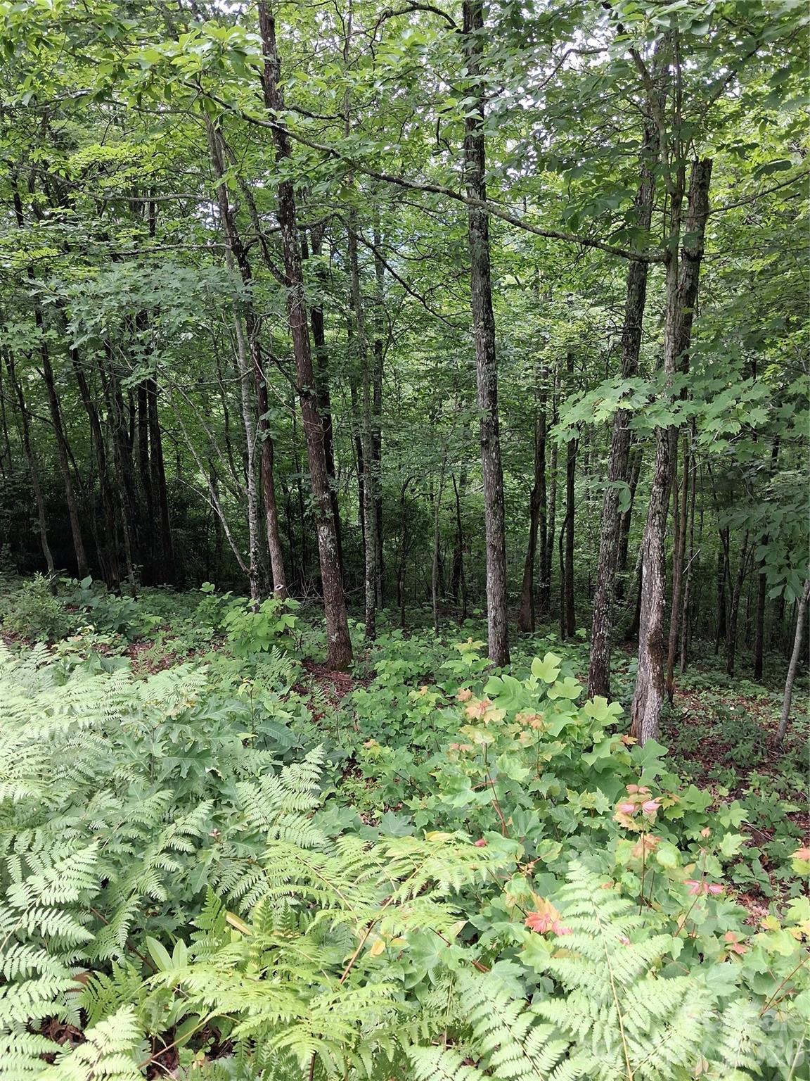 Tbd Preservation Trail 47 Property Photo 2
