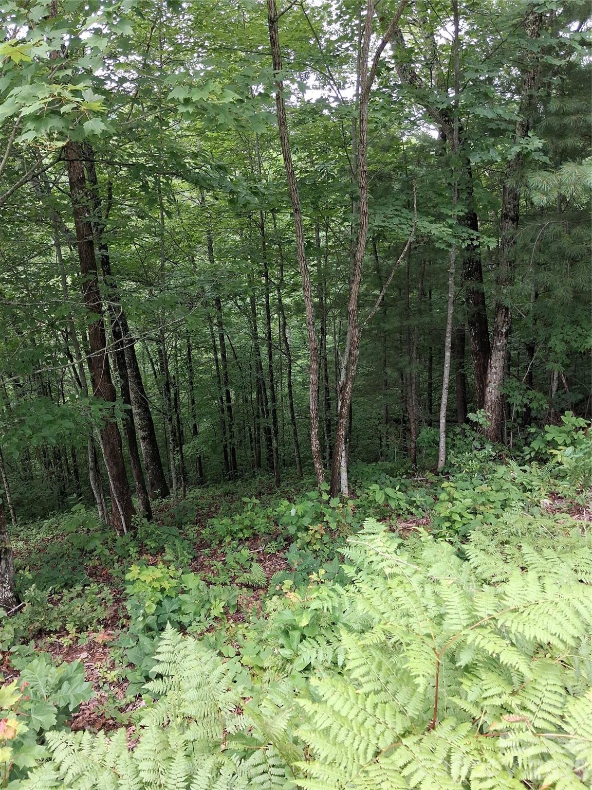 Tbd Preservation Trail 47 Property Photo 3