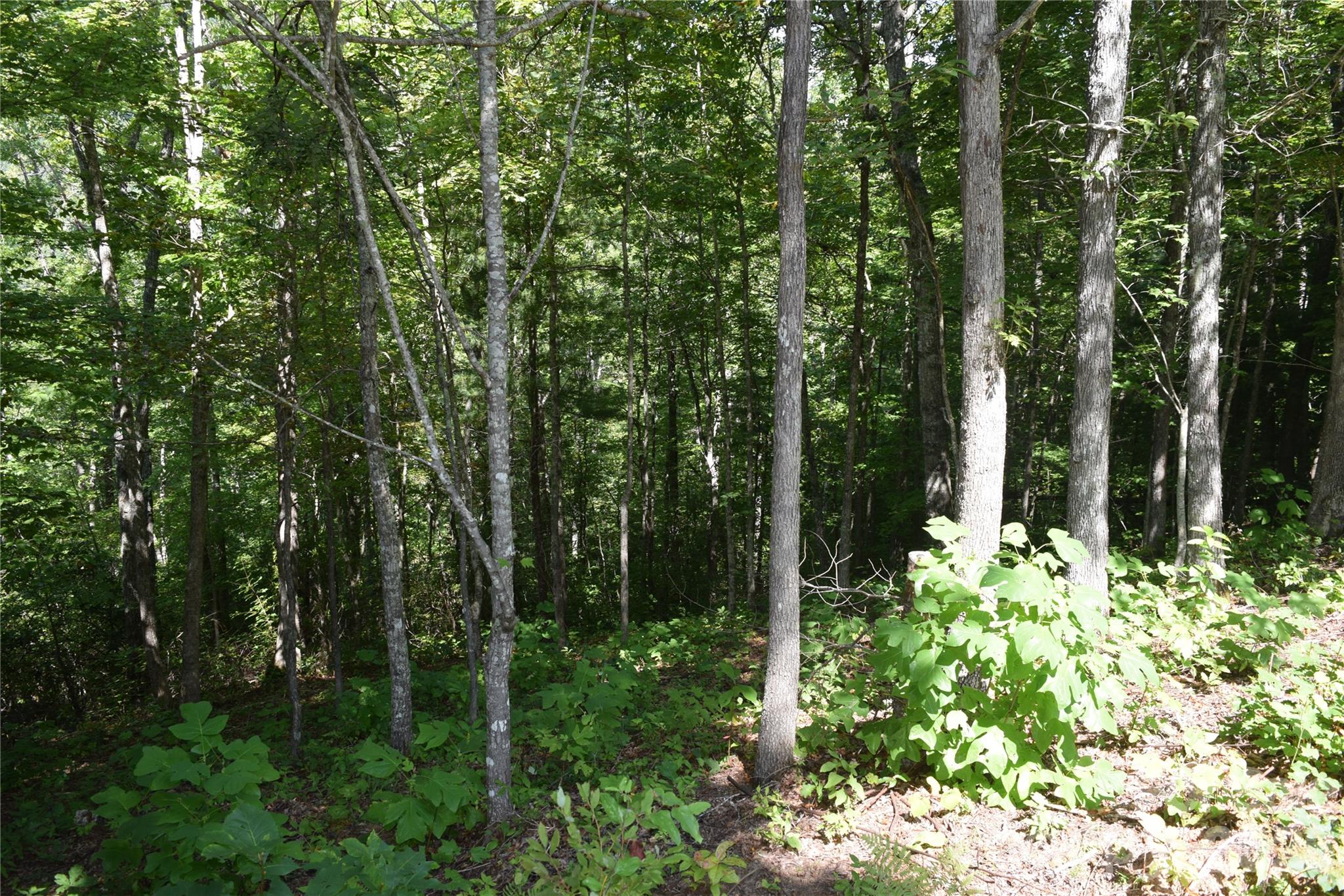 Tbd Preservation Trail 47 Property Photo 4