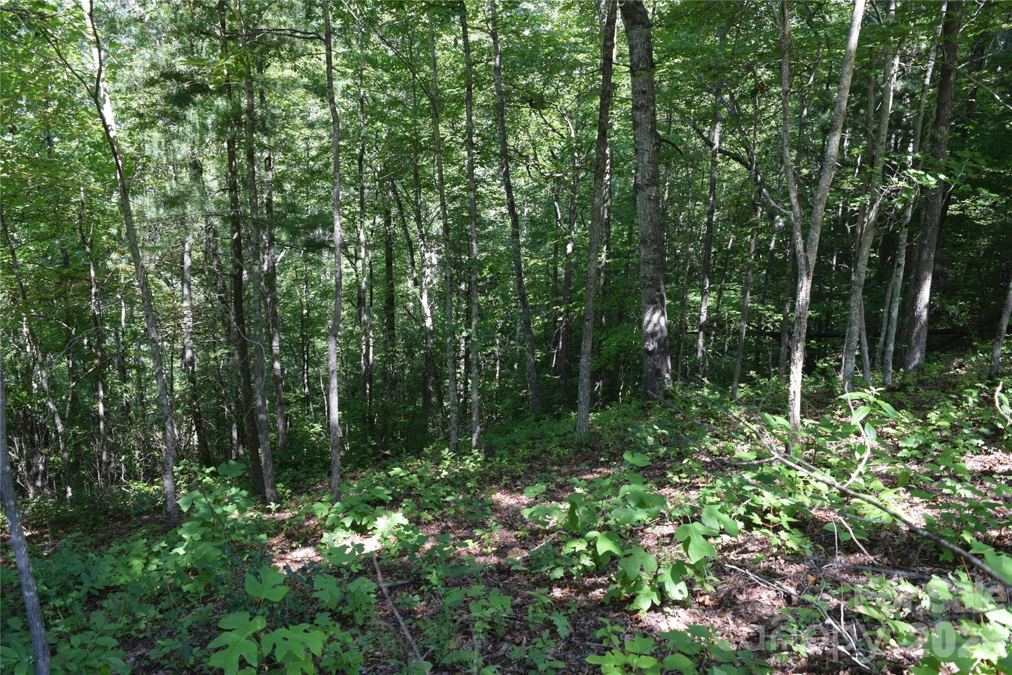 Tbd Preservation Trail 47 Property Photo 5