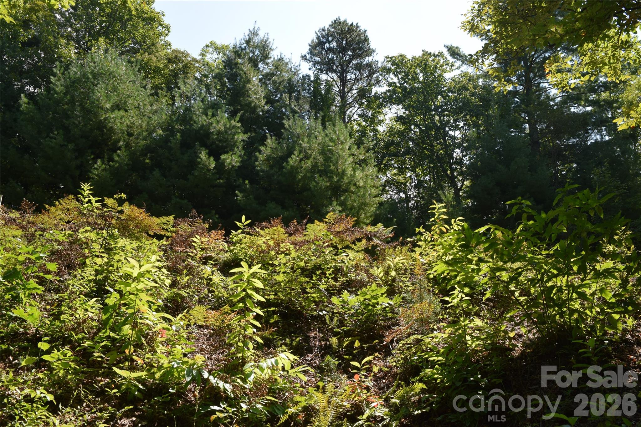 Tbd Preservation Trail 47 Property Photo 6