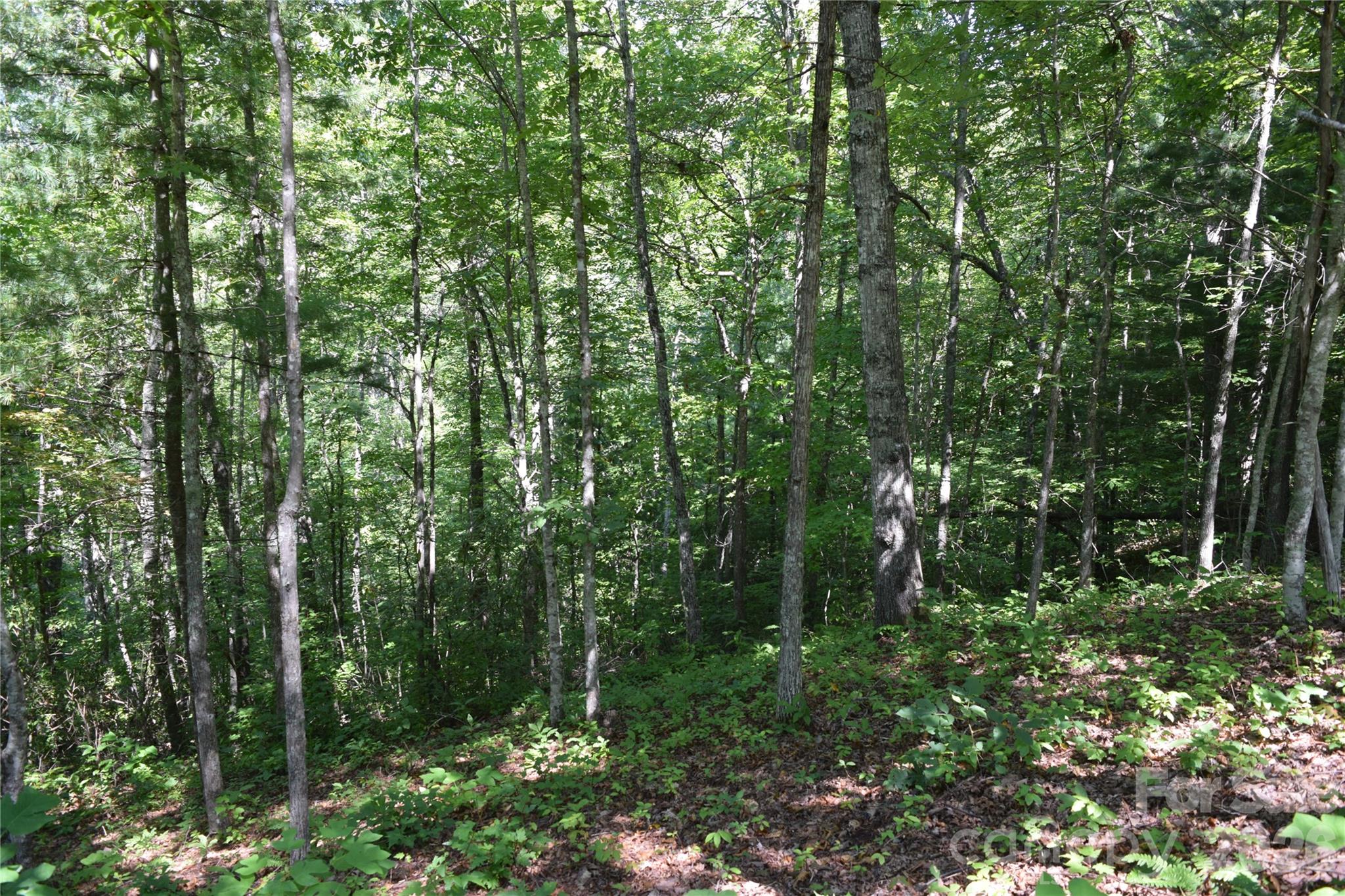 Tbd Preservation Trail 47 Property Photo 7