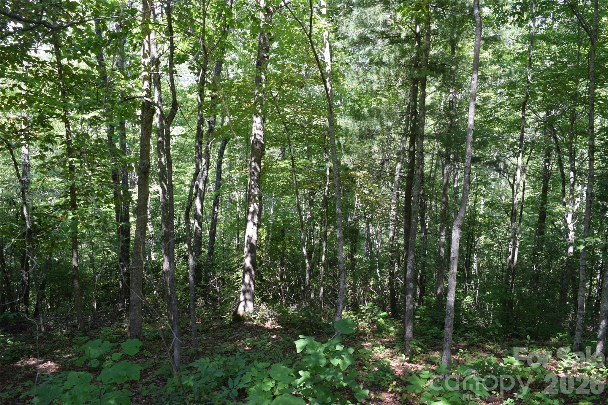 Tbd Preservation Trail 47 Property Photo 8