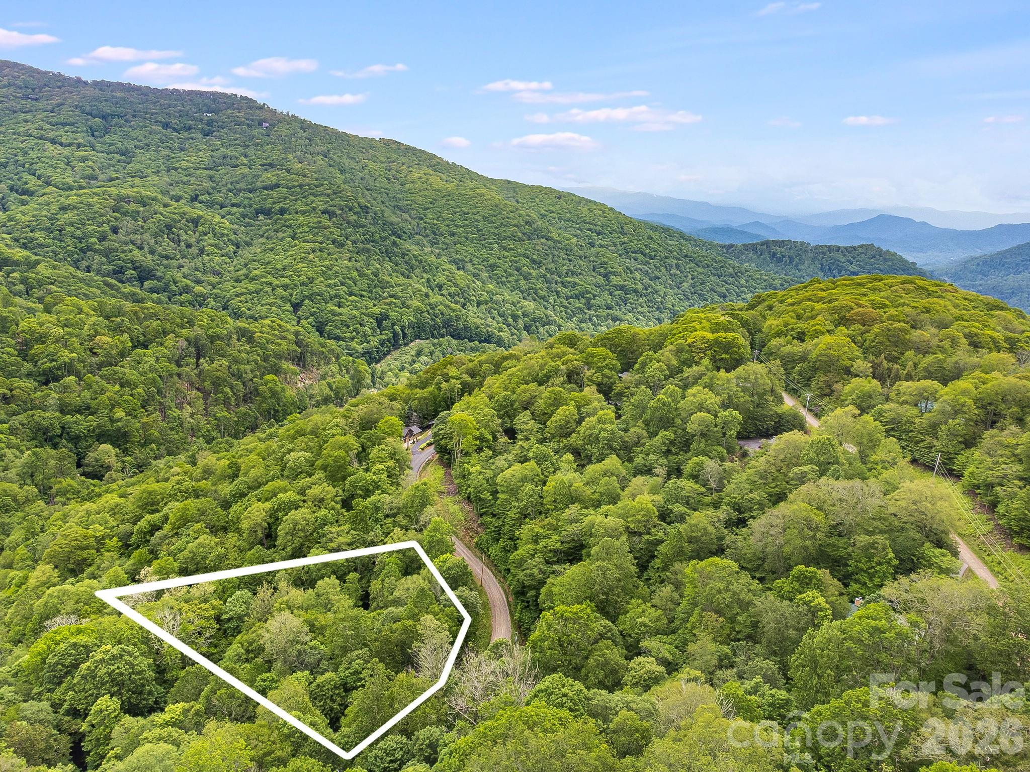 65 Bee Tree Lane Property Photo 1