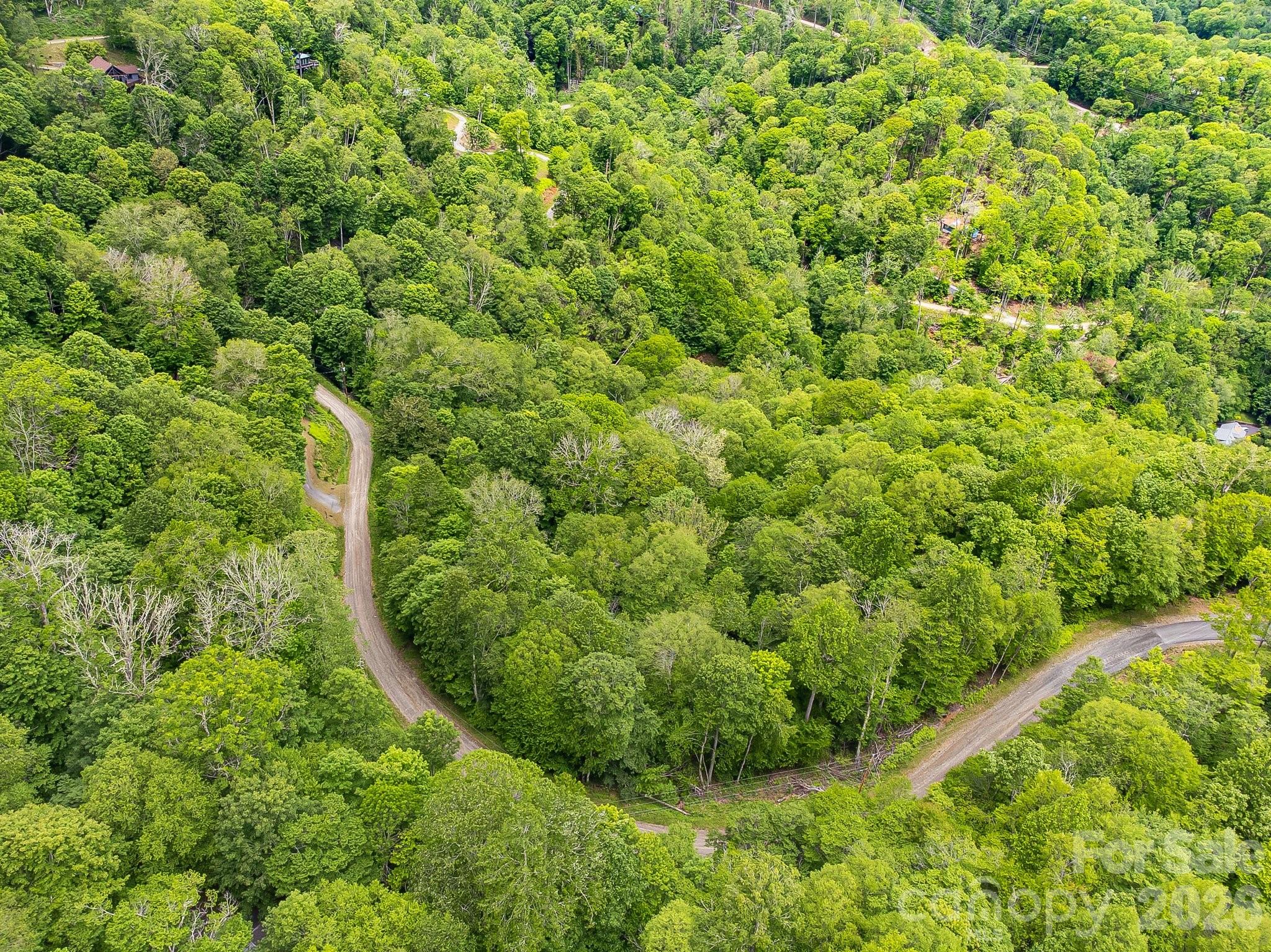 65 Bee Tree Lane Property Photo 8