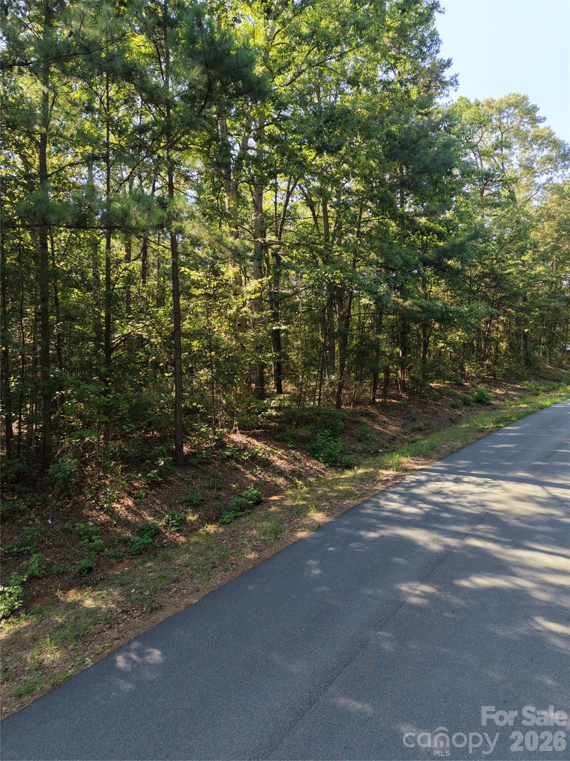 1550 Maiden Wood Circle Property Photo 4