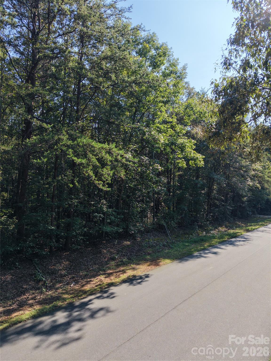 1550 Maiden Wood Circle Property Photo 8